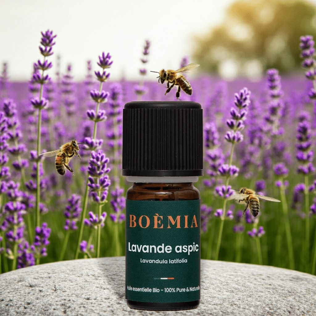 Lavender Aspic essential oil 5 ml - Aromaclass