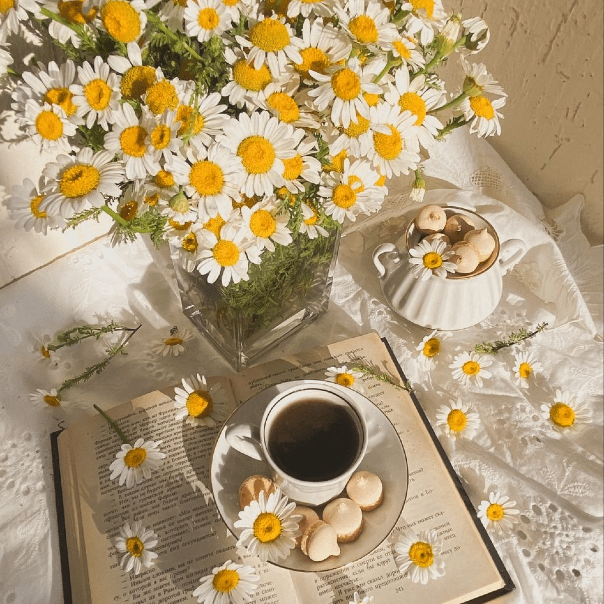 The Recording of the Webinar "Stress management". Part II - Aromaclass