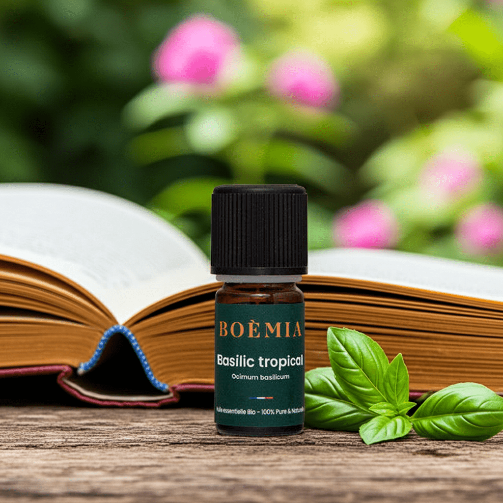 Tropical Basil Organic Essential oil – 10 ml - Aromaclass